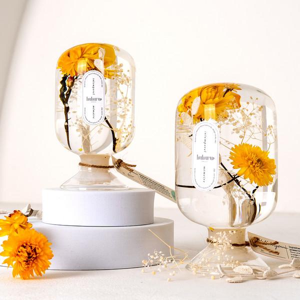 Helichrysum 헬리크리섬(미니 해바라기)
