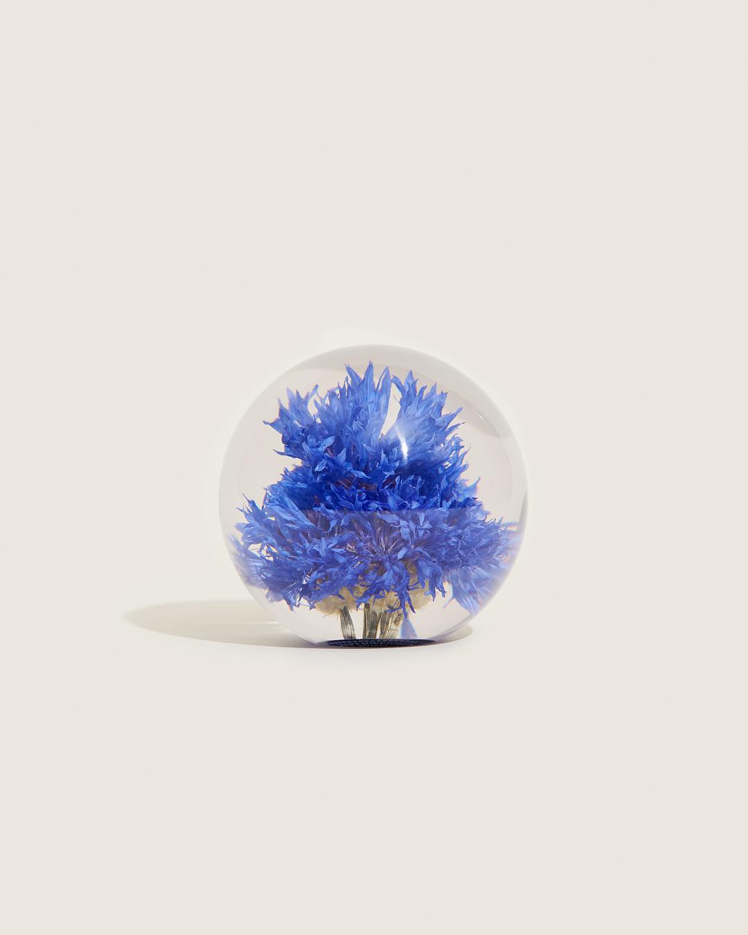 Cornflower Paperweight - Small