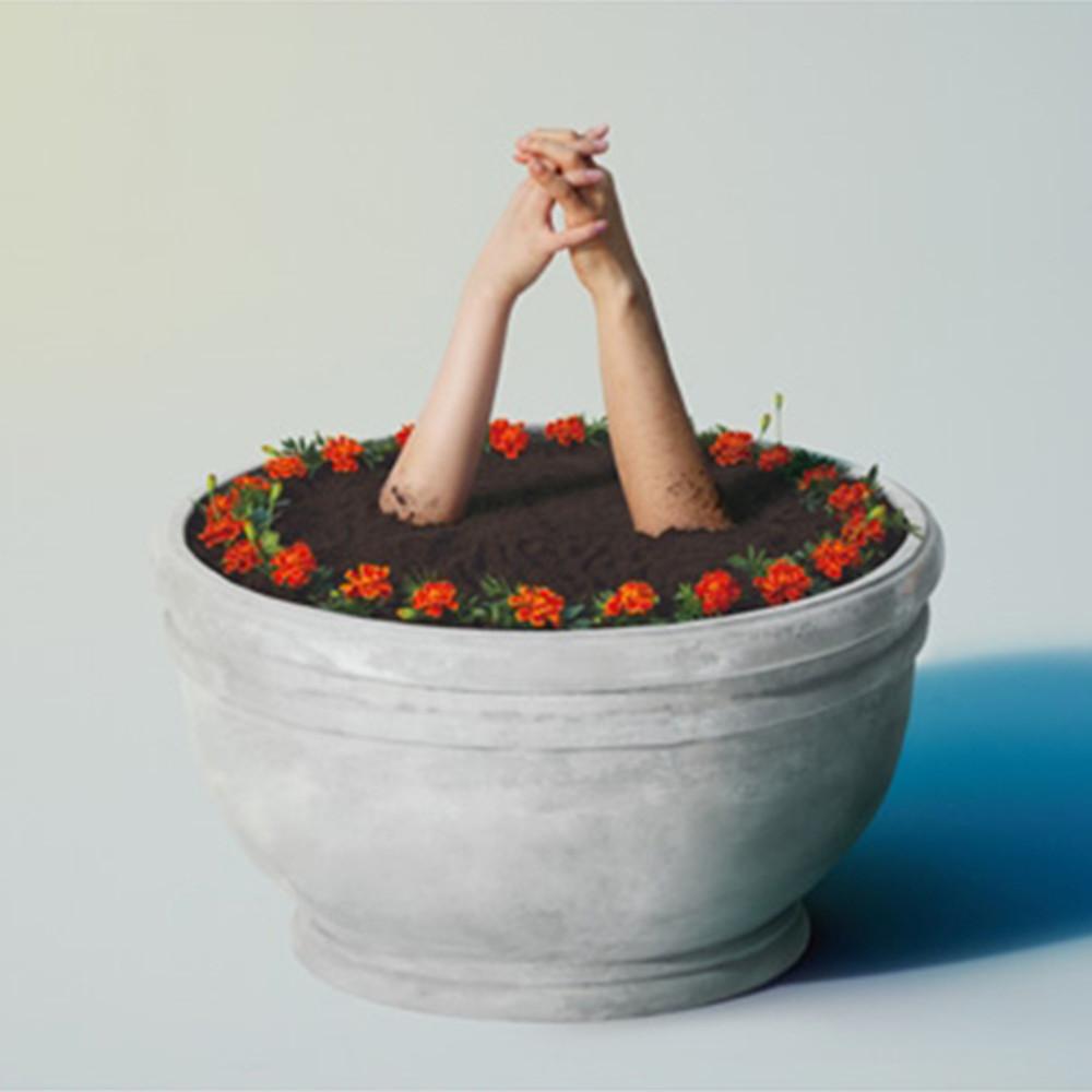 아이묭 CD 마리골드 Marigold Aimyong