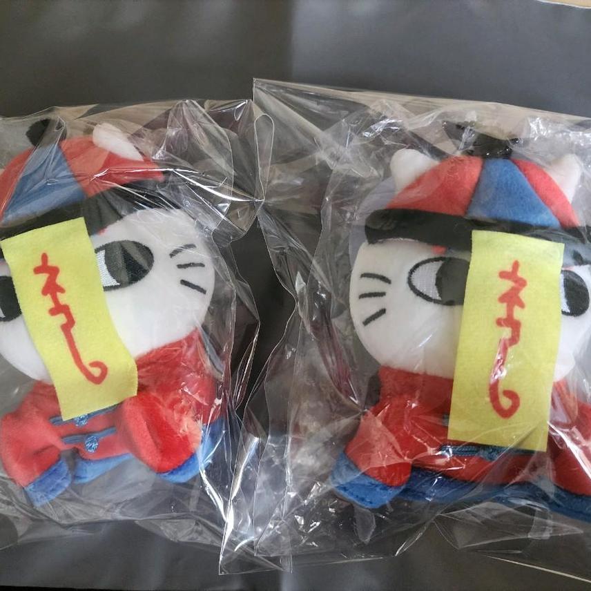농담곰 나가노 마켓 강시 고양이 마스코트