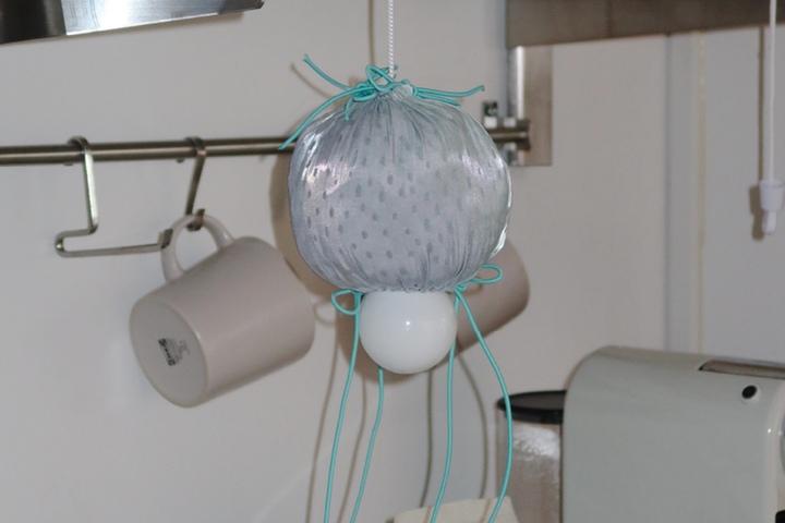 strawberry hanging lamp