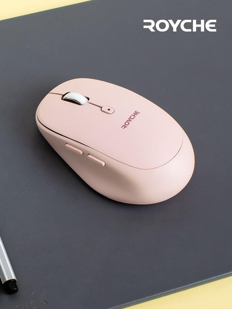 로이체 무소음 무선마우스 RX-700