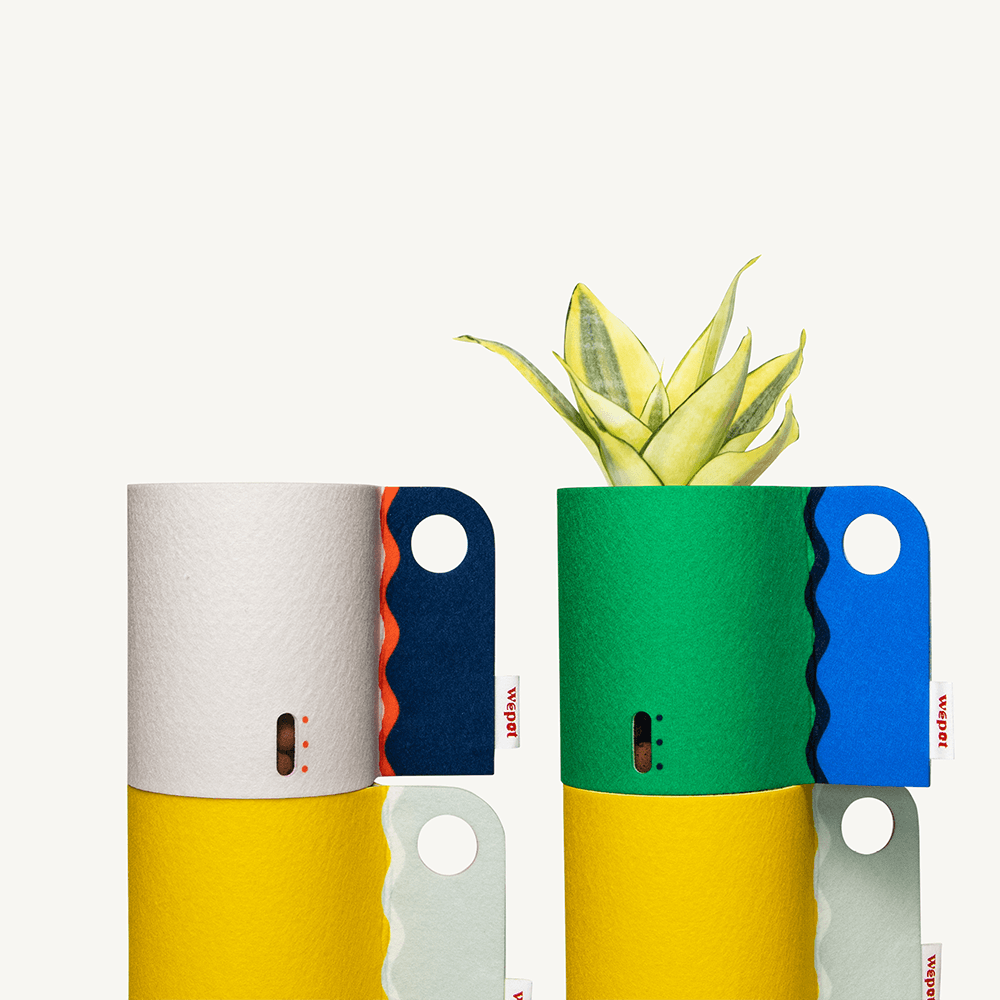 반수경재배 분갈이키트 레이어드 컬러 S