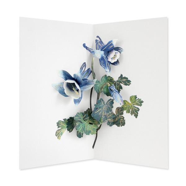 콜롬바인 (COLUMBINE)