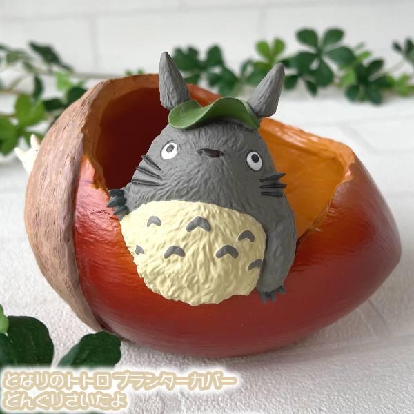 스튜디오 지브리 이웃집 토토로 도토리 캐릭터 화분 커버