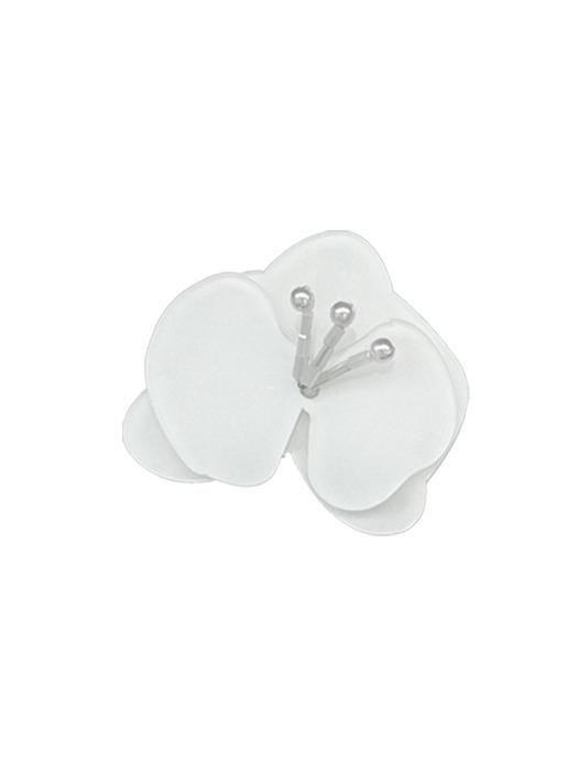 Loumoi tok _ 호접란