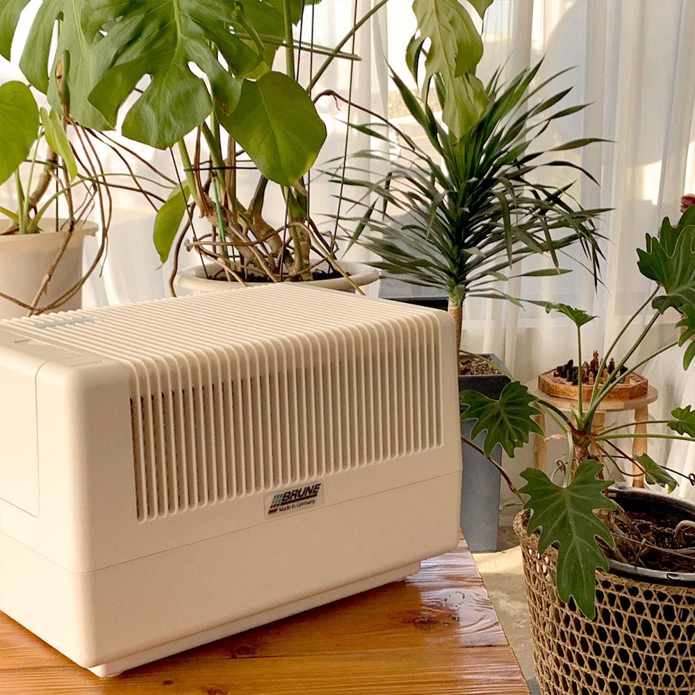 ★브루네코리아 공식몰/예약판매★ 독일 브루네가습기 B125 자연기화식 대용량가습기 아기가습기