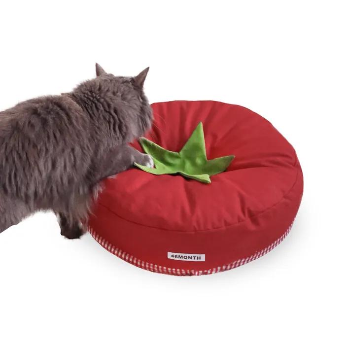 tomato pet cushion 토마토 고양이 강아지 쿠션 방석