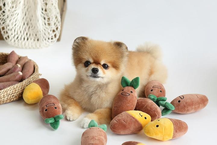 고구마밭 노즈워크 강아지 장난감