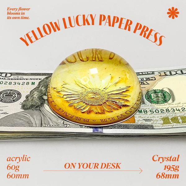 Gold coin paper weight