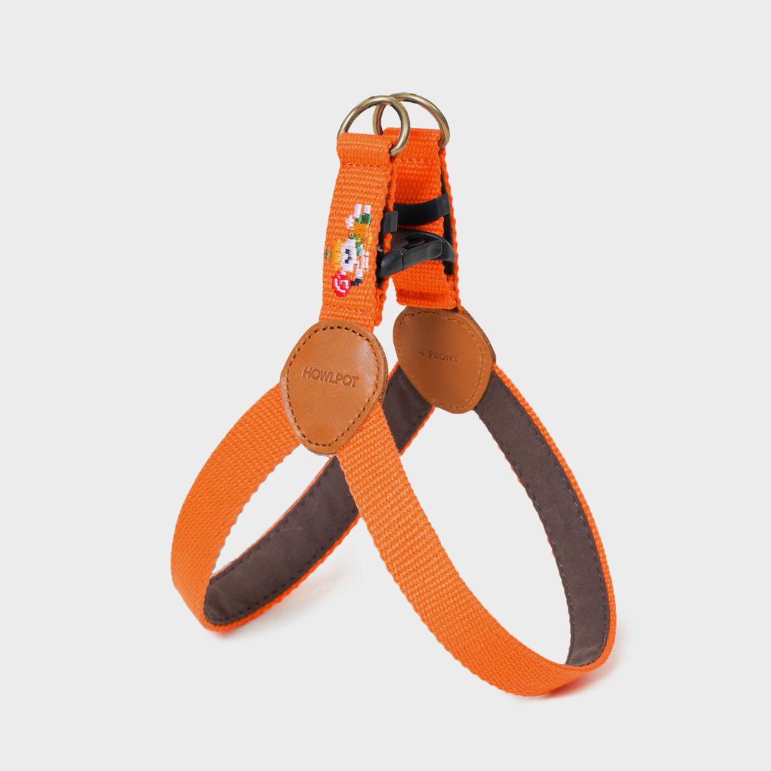 어드벤처 하네스 (할로윈)