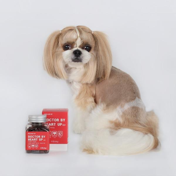 강아지 심장 면역 특허소재 영양제 닥터바이하트업