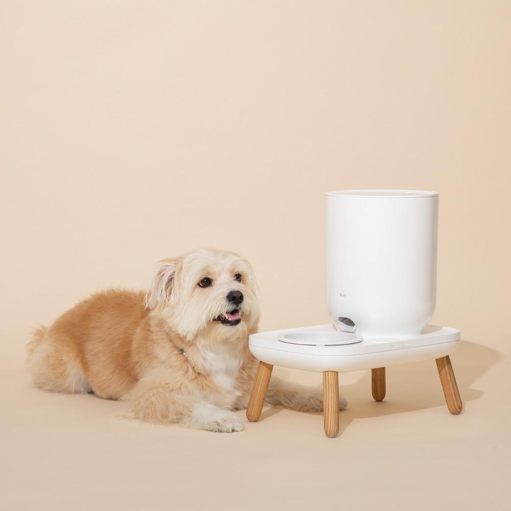 두잇 더테이블 화이트 자동급식기