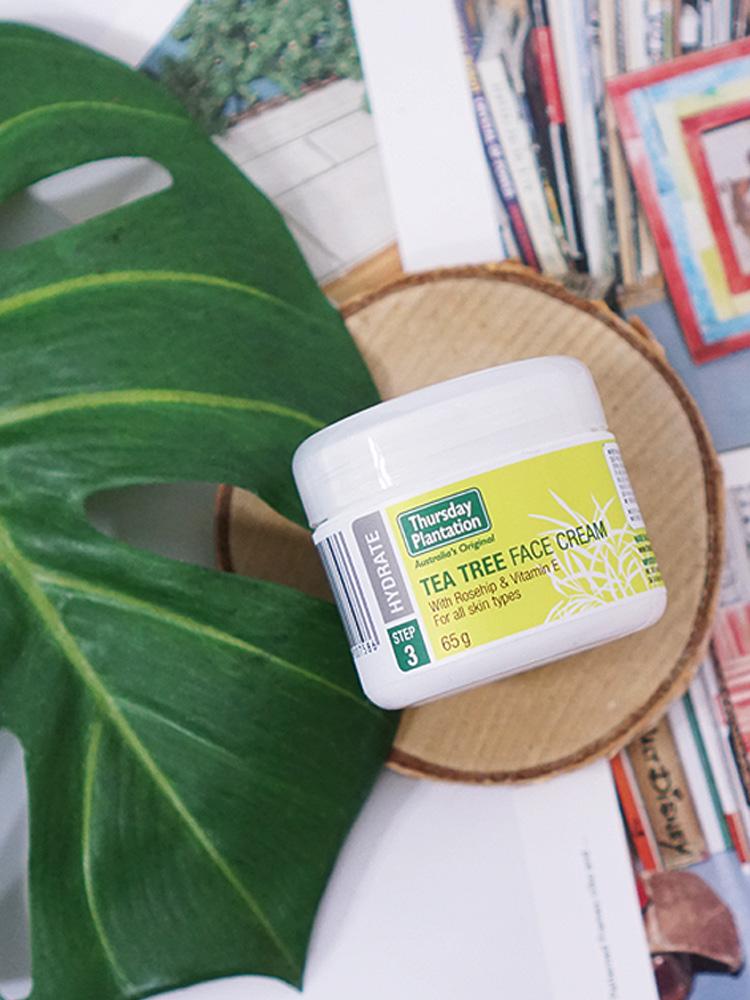 써스데이플랜테이션 티트리 페이스 크림 65g