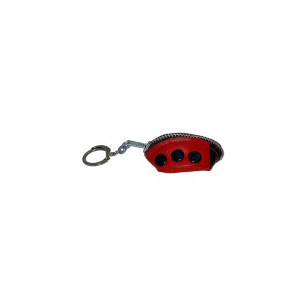 vintage coin wallet keychain (1••🗝️🔑)