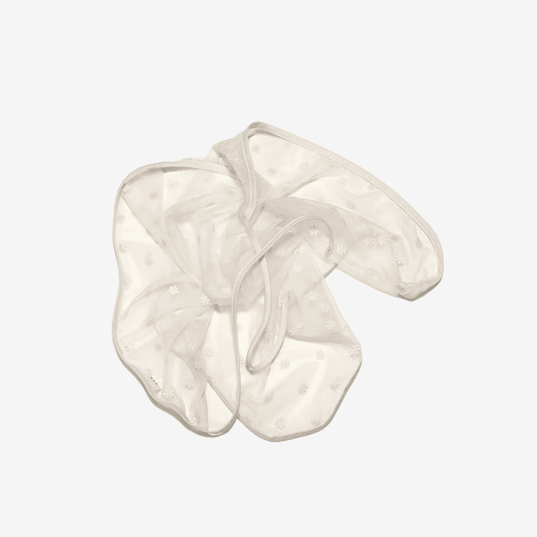 고양이 투명망토