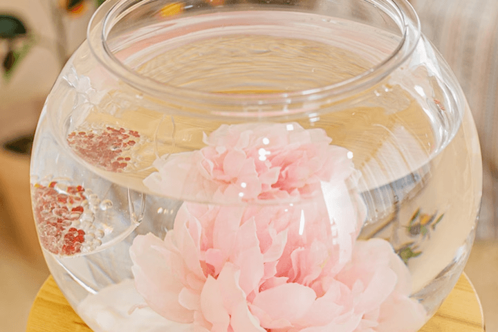 크리스탈 구피하우스