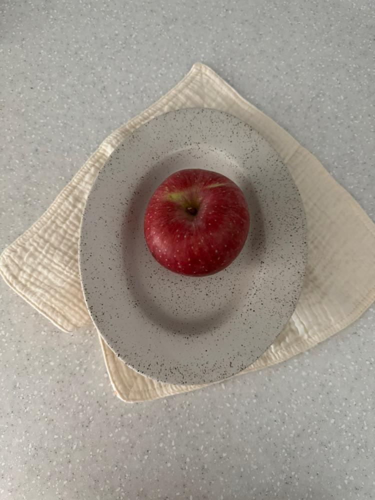 점박이오발플레이트 [홈 브런치 디저트 파스타 스테이크 집들이 인스타 감성 플레이팅 접시 예쁜 그릇 세트 한식 양식 식기]