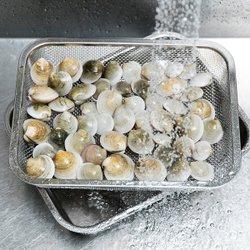 스테인리스 메쉬 채반_대_30x23.5x6cm J71N902115300