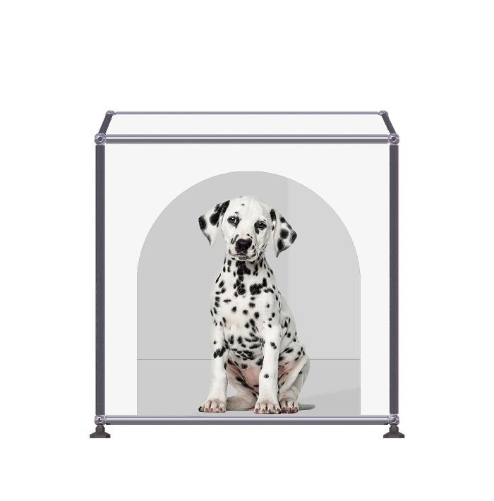 [MODULEITT] 반려동물 하우스