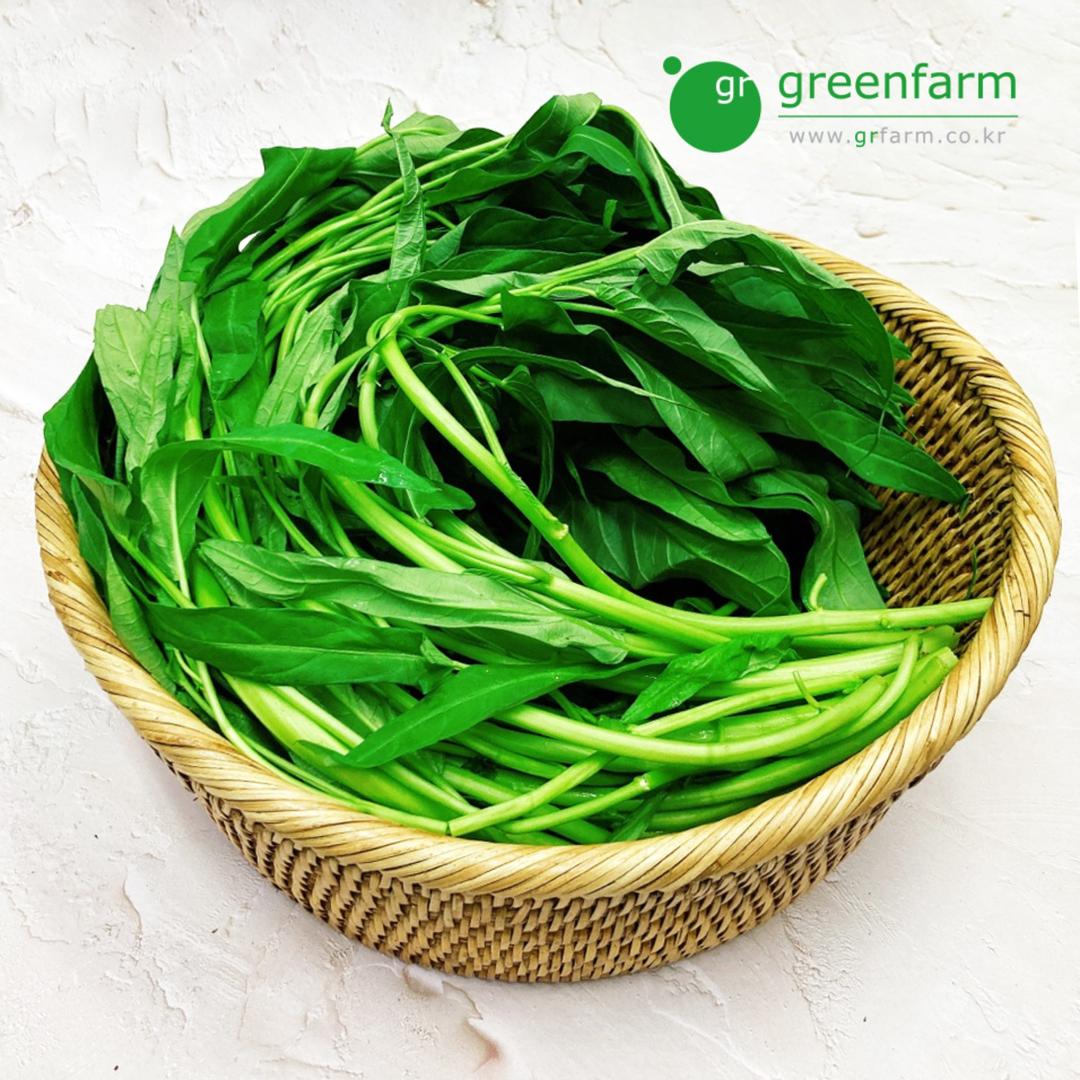 공심채 모닝글로리 박붕 팍붕 깡콩 300g