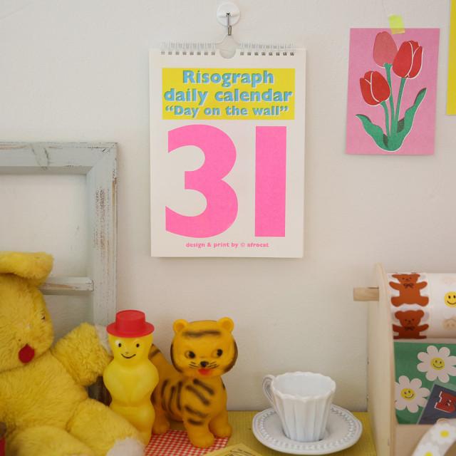 [아프로캣] 데이온더월 리소그라피 / 데일리 만년 캘린더 벽걸이 달력 벽달력