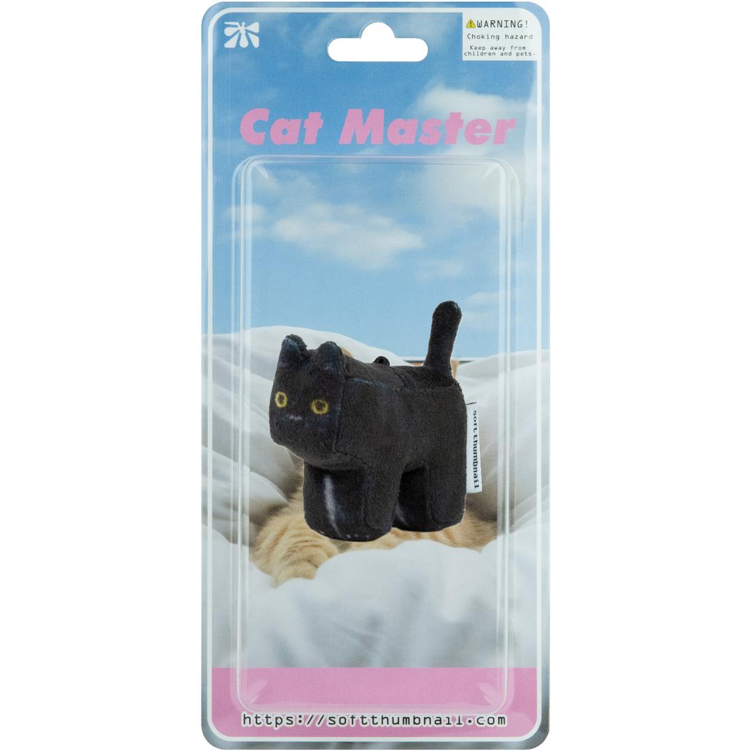 Mang, American Shorthair