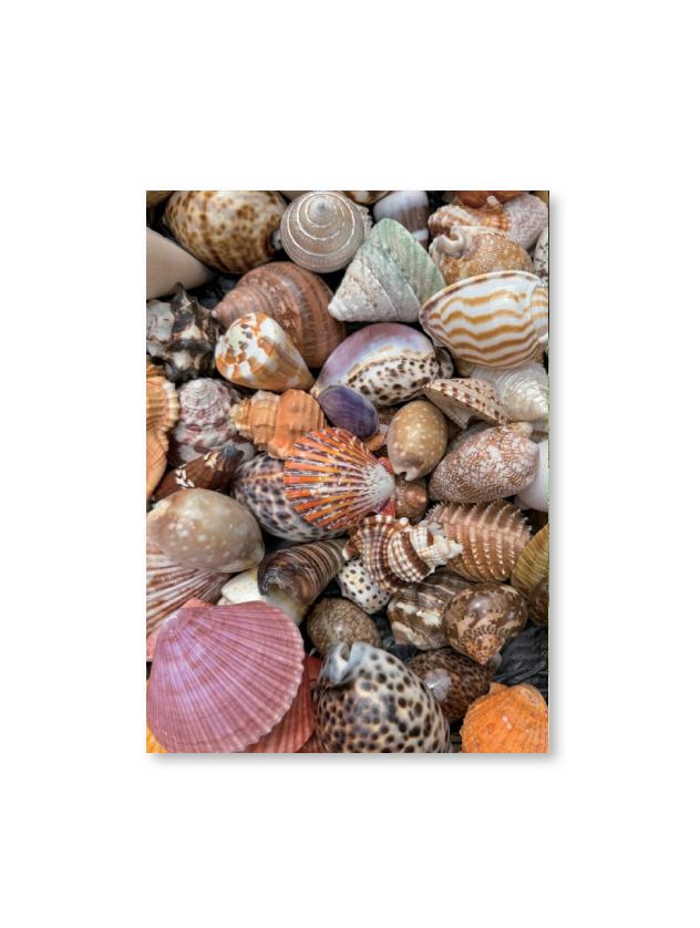 Les amis Postcard