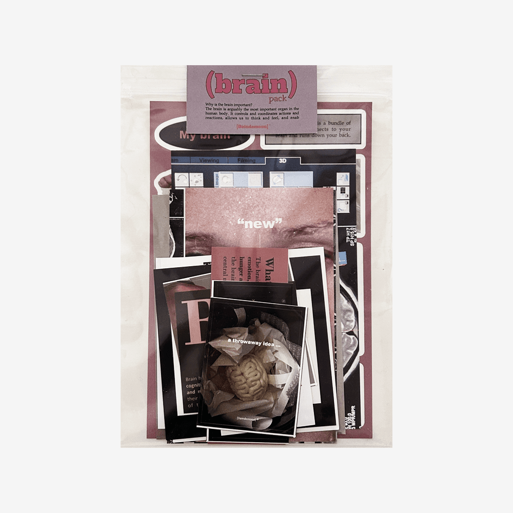 brain pack