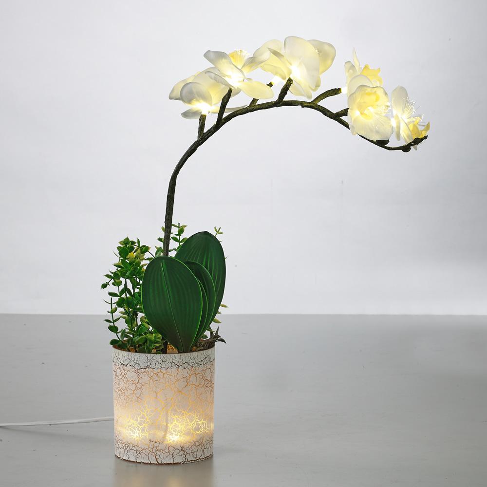 LED 프니아 조화 스탠드 조명