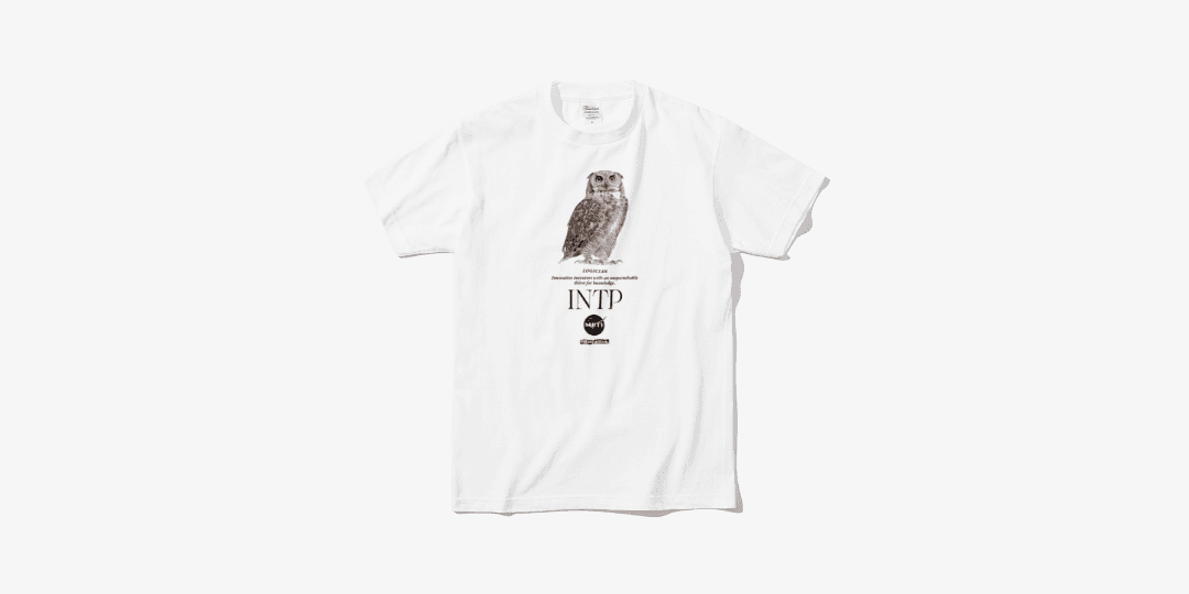 INTP 논리적인 사색가