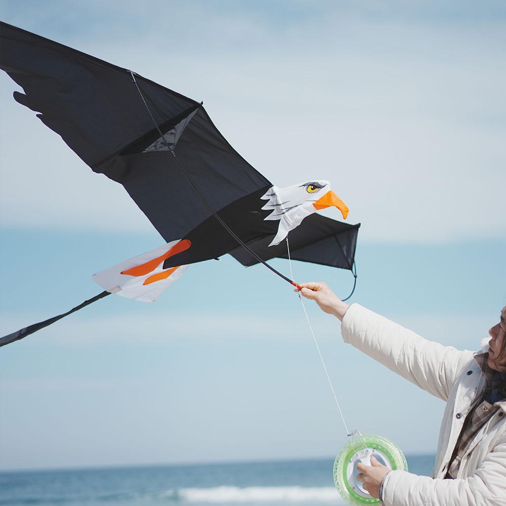 아이엠카이트 대형연 극락조연 3D입체 독수리연 연날리기