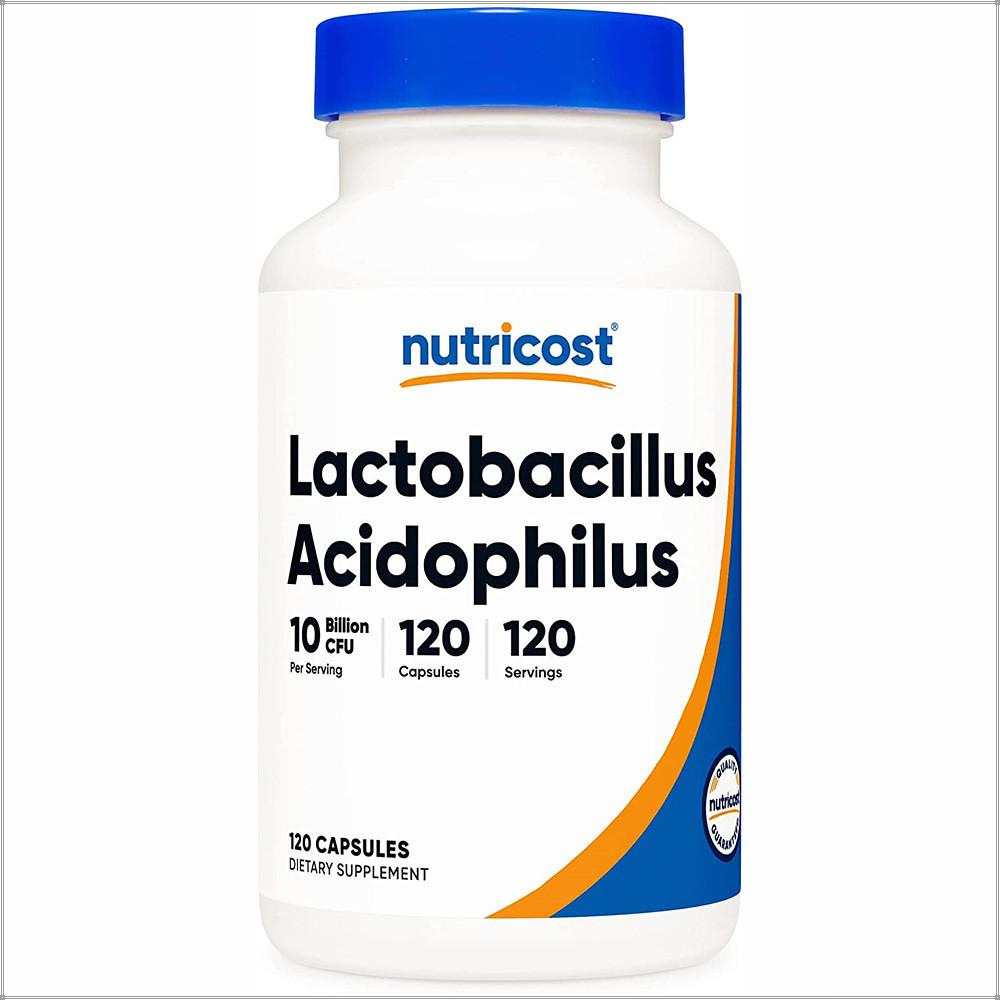 뉴트리코스트 락토 바실러스 애시도필러스 100억 유산균 120캡슐