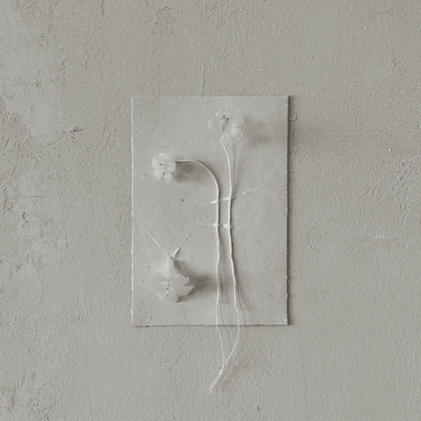 Trumpet Vine Set - 3 pieces