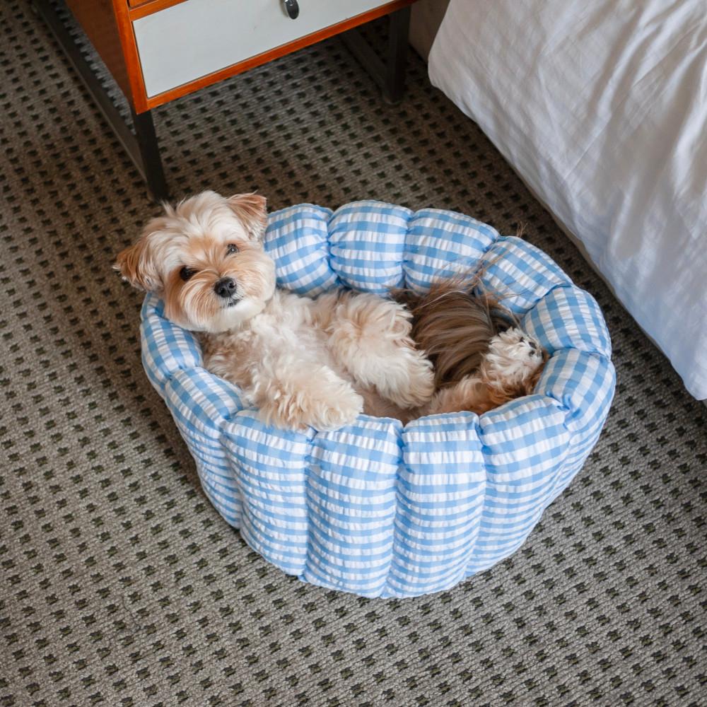 [azalea] 카눌레쿠션 / 지지미 체크 블루