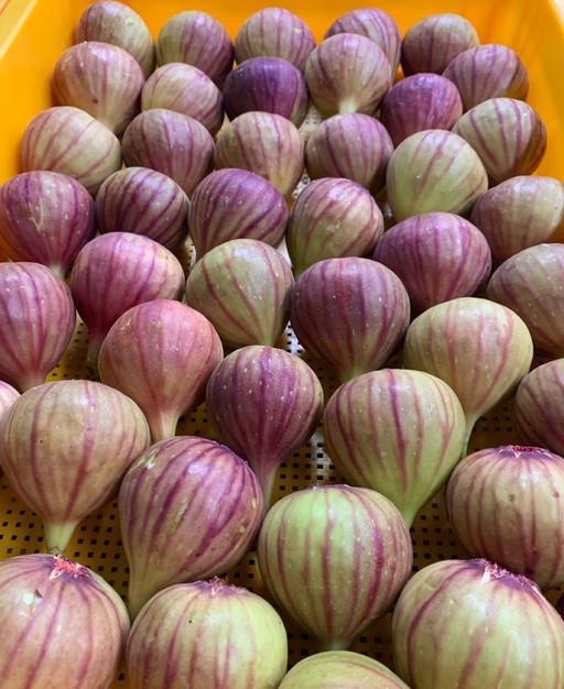 GAP인증 고당도 영암 무화과 홍무화과 500g×2팩  [원산지:작품정보참조]