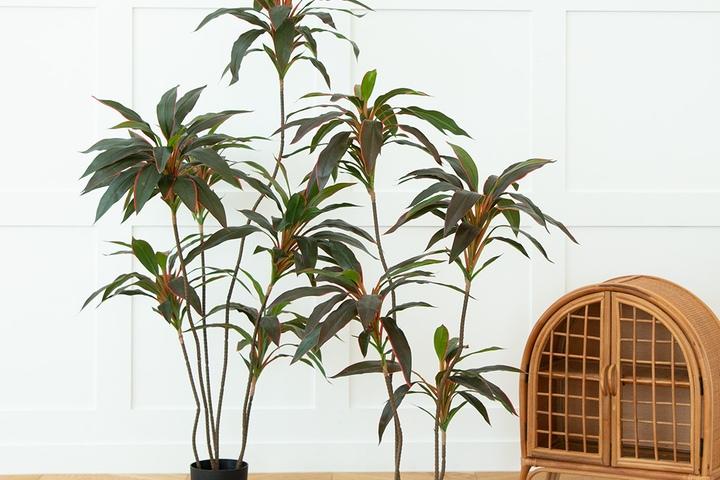 레드 포인트 드라세나 코르딜리네 조화 나무 2sizes