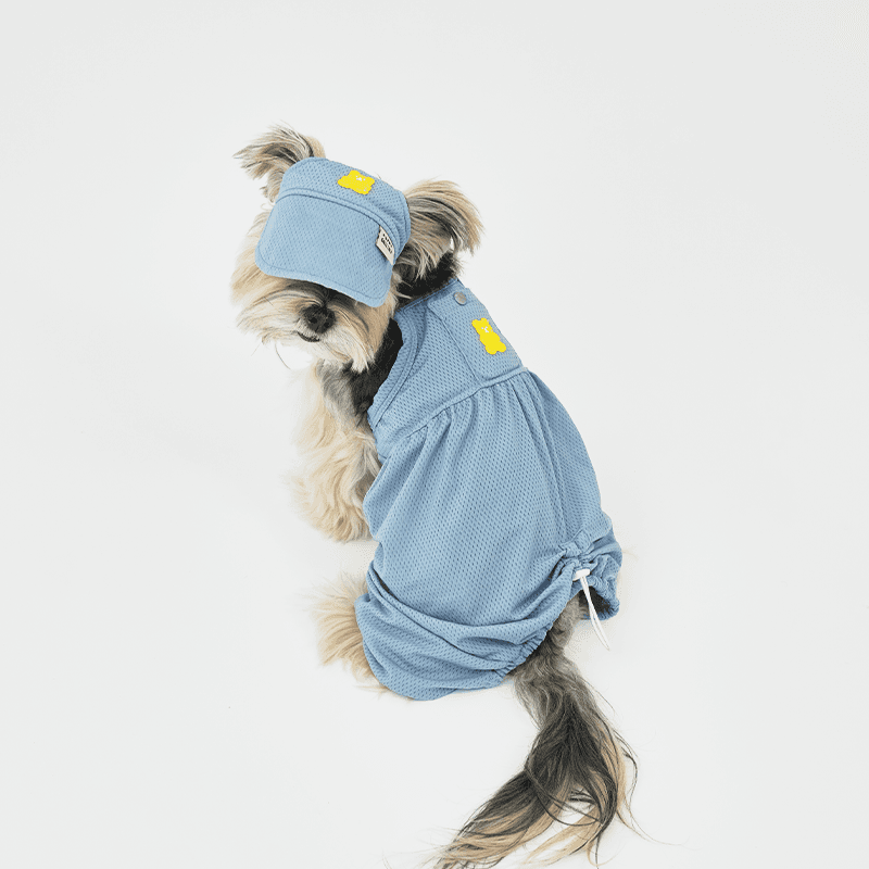 젤리베어 블루머[베이비 블루]