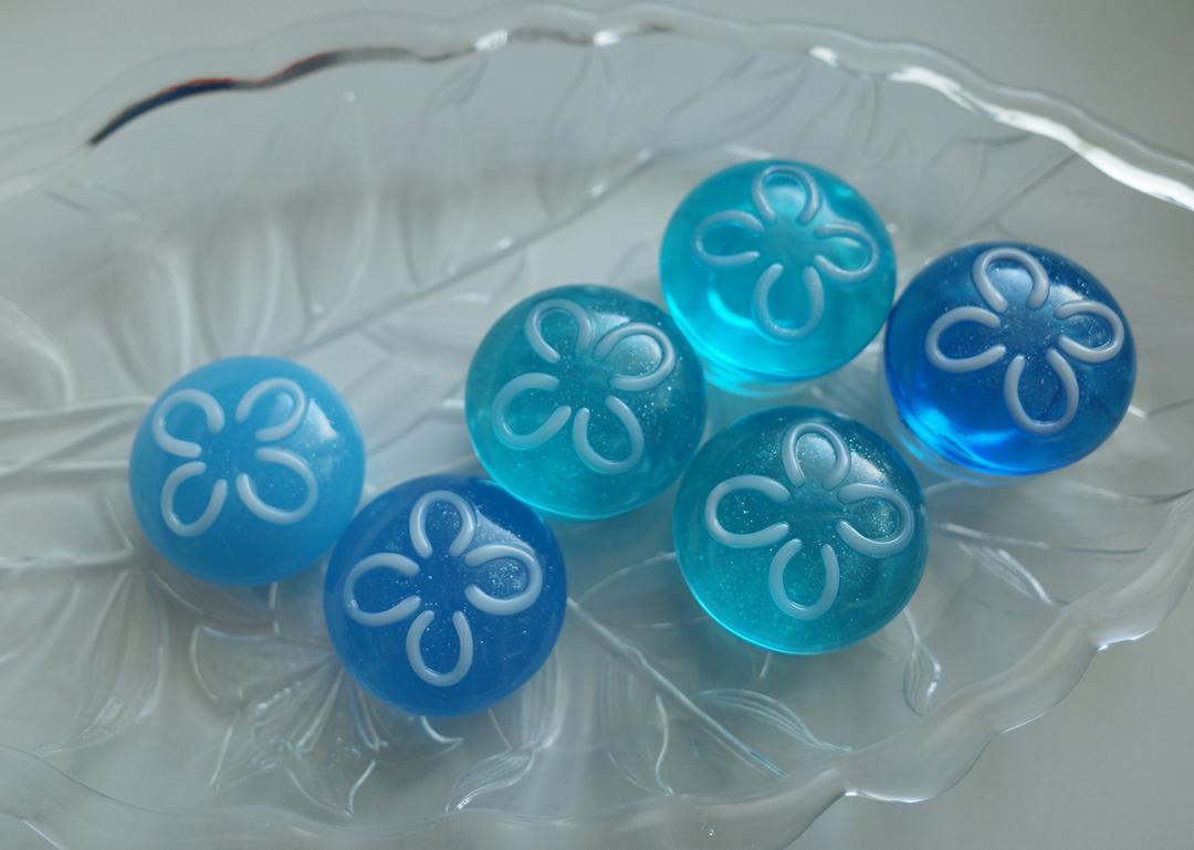 애완 해파리 톡