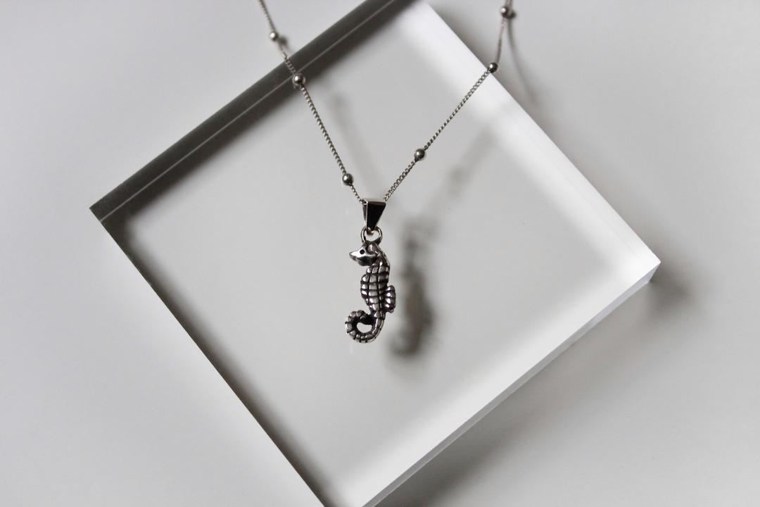 sea horse
