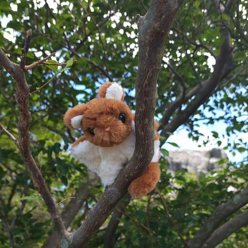 나는야 하늘 다람쥐, 다롱이🐿🪽인형 키링