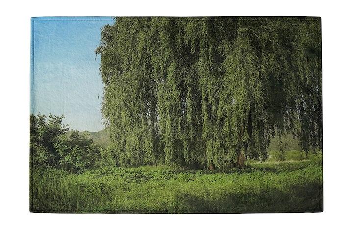 그린 윌로우 극세사 단모러그 거실러그 (2 size)