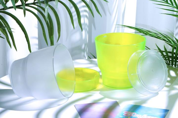 [단독] 다즐링팟 투명화분 저면관수 플라스틱 화분