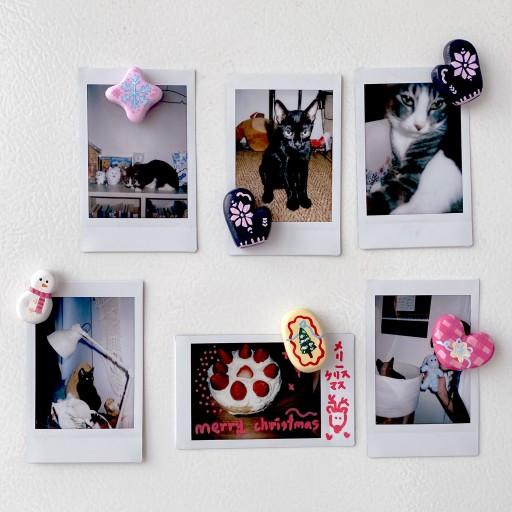 겨울의 향기 마그넷