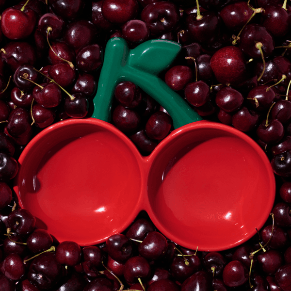 체리 듀얼 세라믹 식기(NEW)