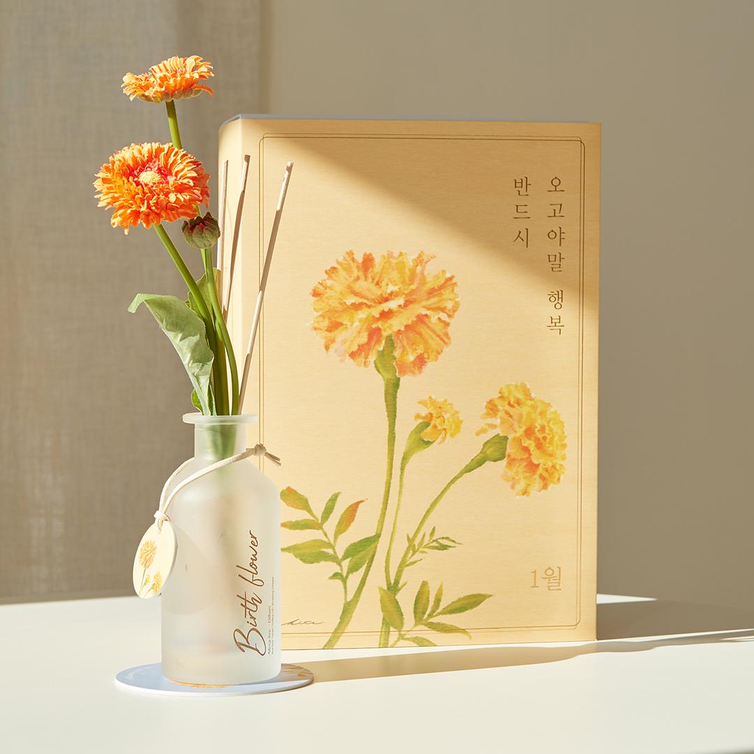 [1~12월 생일화 모음] 월마다의 꽃과 향 생일화 디퓨저 결혼 집들이 선물 세트