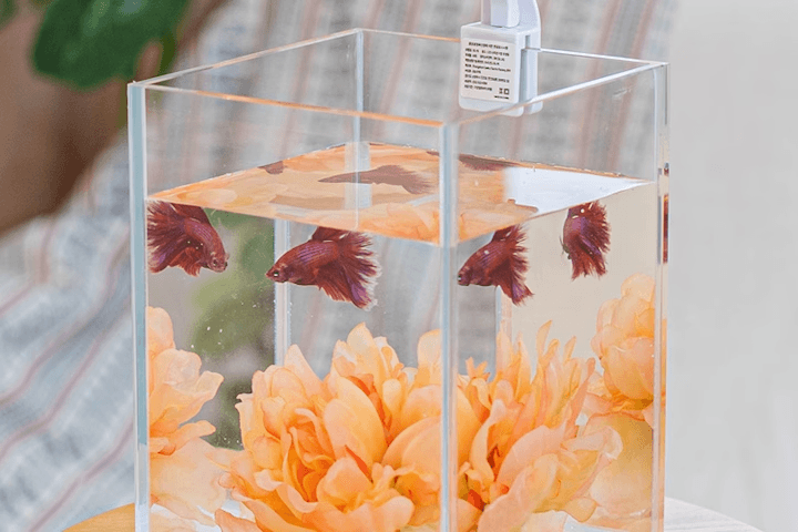 디아망라이트 베타하우스