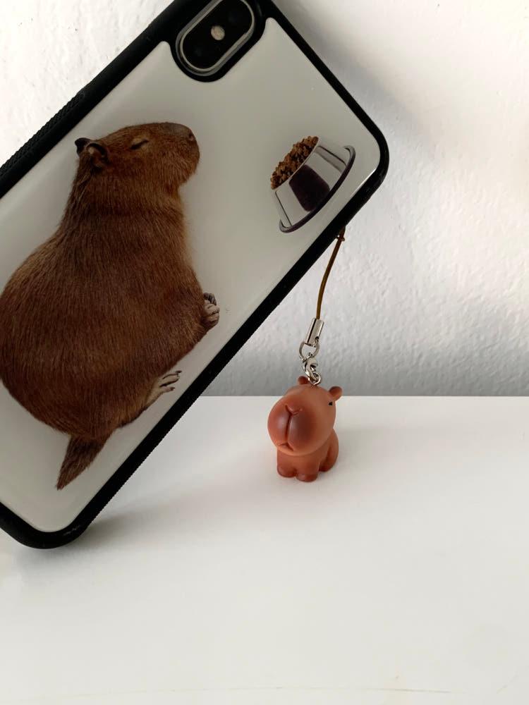(7type) capybara key ring 카피바라 키링 후로킹 에어팟 핸드폰 줄