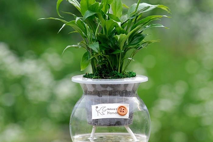 스파트필름_옥돌 어항글라스 수경재배식물