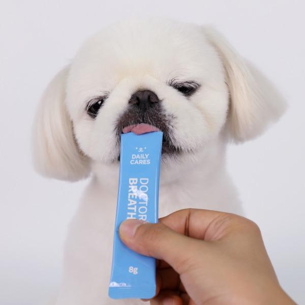 닥터바이 브레스 강아지 기침 기관지 협착증 호흡기 영양제